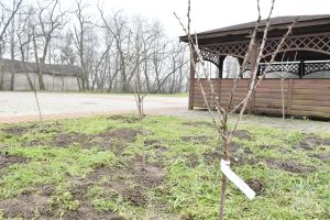 Nasza infrastruktura sołecka 2025