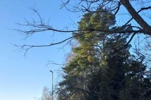 04_Swędów ul. Kolejowa