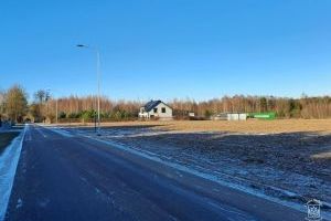 01_Niesułków Kolonia