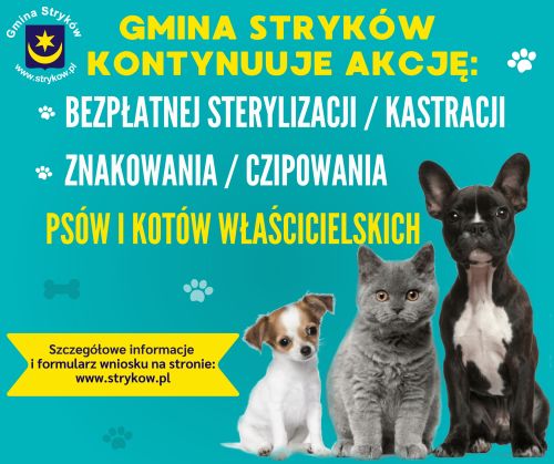 Bezpłatna sterylizacja, kastracja i czipowanie właścicielksich zwierząt