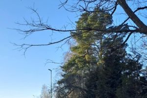 2025 Budowa i modernizacja oświetlenia ulicznego na terenie Gminy Stryków – część 1