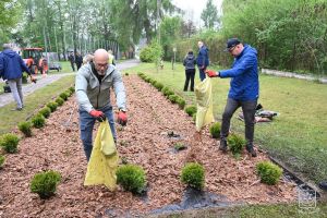 Nasadzenia w SP Dobra w ramach akcji "Odpowiedzialne SEGRO"
