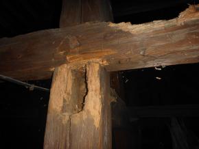 Gmina Stryków udzieliła dotacji celowej na rzecz parafii Rzymskokatolickiej p.w. Świętego Wojciecha Biskupa i Męczennika w...