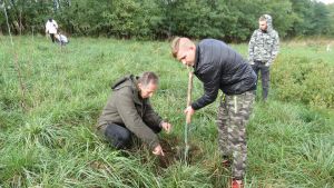 Inicjatywa Sadzenia Drzew – Dzień Drzewa