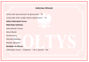 Wyniki wyborów