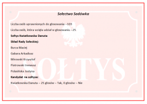 Wyniki wyborów