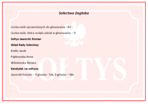 Wyniki wyborów
