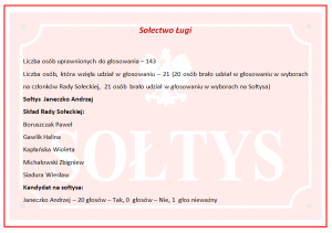 Wyniki wyborów