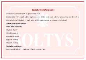 Wyniki wyborów