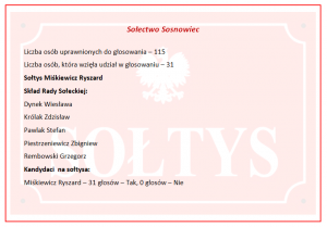 Wyniki wyborów