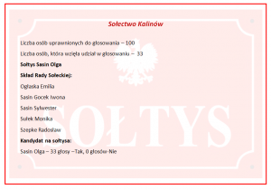Wyniki wyborów