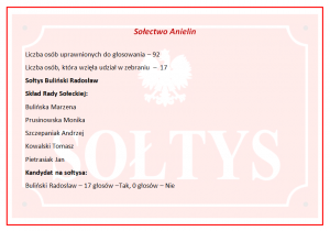 Wyniki wyborów