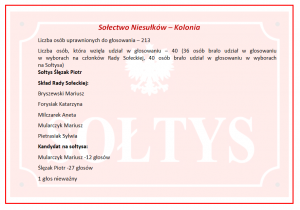 Wyniki wyborów