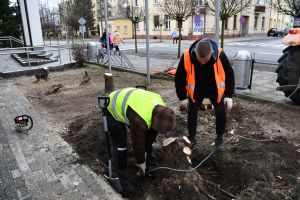 Jednostka Robót Publicznych ruszyła w teren