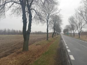 Jednostka Robót Publicznych ruszyła w teren