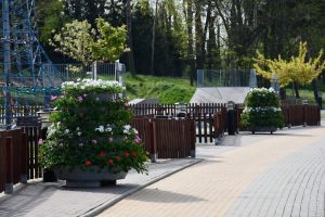 Konstrukcje kwiatowe