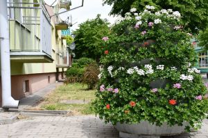 Konstrukcje kwiatowe