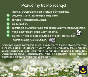 Pozwólmy trawie rosnąć