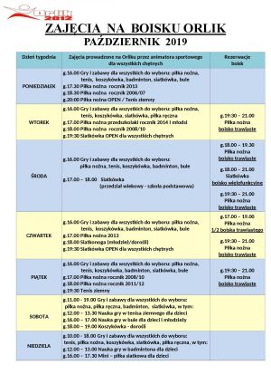 ZAJĘCIA  NA  BOISKU ORLIK pażdziernik