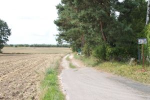 Droga Ługi - Michałówek przed inwestycją
