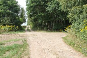 Droga Ługi - Michałówek przed realizacją.