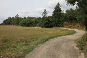 Droga Ługi - Michałówek przed realizacją.