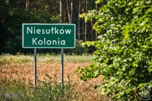 P11_Niesulkow-Kolonia-01