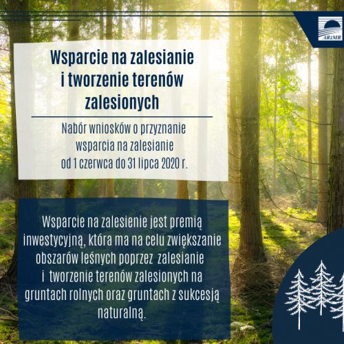 Posadź las_format kwadrat