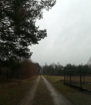 Swędów, ul. Sosnowa, przed realizacją projektu