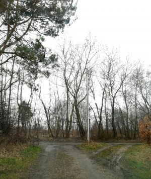 Swędów, ul. Sosnowa, przed realizacją projektu