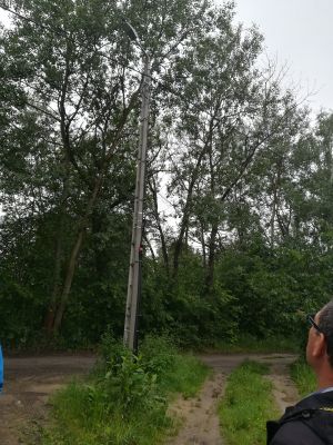 Swędów, ul. Sosnowa, po zakończeniu realizacji projektu