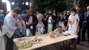 DOŻYNKI GMINNE 2020 W GMINIE STRYKÓW - fotoleracja z Koźla