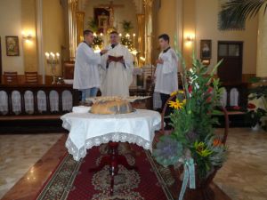 DOŻYNKI GMINNE 2020 W GMINIE STRYKÓW - fotoleracja ze Strykowa