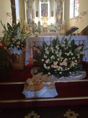 DOŻYNKI GMINNE 2020 W GMINIE STRYKÓW - fotoleracja z Dobrej