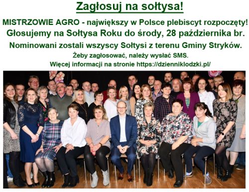 Plakat  - Zagłosuj na sołtysa!