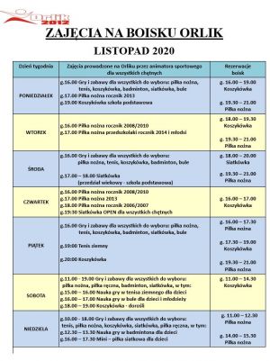 ZAJĘCIA NA BOISKU ORLIK LISTOPAD 2020