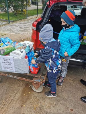 Zbiórka karmy dla psiaków i kotów