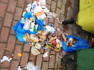 Bałagan przy koszach do selektywnej zbiórki śmieci w Dobrej