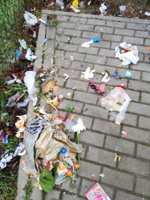 Bałagan przy koszach do selektywnej zbiórki śmieci w Dobrej