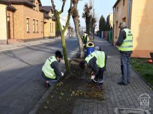 Wiosenne nasadzenia zieleni 2021