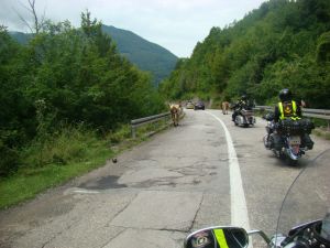 Jubileusz Strykowskiej Grupy Motocyklowej