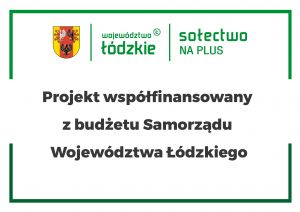 Projekt współfinansowany