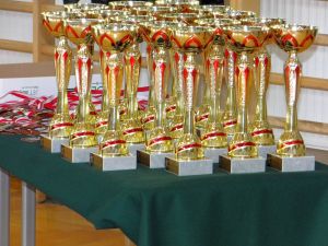 XI Ogólnopolski Turniej Shorin-Ryu karate o Puchar Ziemi Mieleckiej