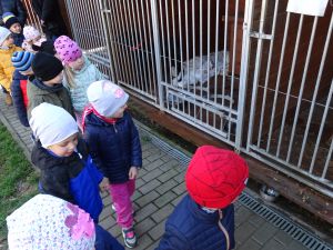 Przedszkolaki w Przytulisku dla Zwierząt w Głownie