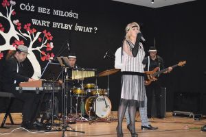 Koncert walentynkowy w DK Niesułków