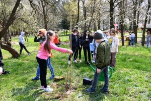 Inauguracja projektu "Owoce Pamięci" w Gminie Stryków