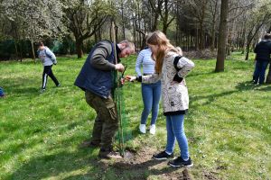 Inauguracja projektu "Owoce Pamięci" w Gminie Stryków