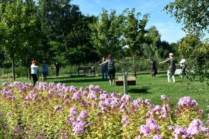 Warsztaty Nordic Walking w parku nad Moszczenicą