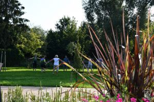 Warsztaty Nordic Walking w parku nad Moszczenicą, drugie z kolei zajęcia