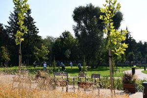 Warsztaty Nordic Walking w parku nad Moszczenicą, drugie z kolei zajęcia